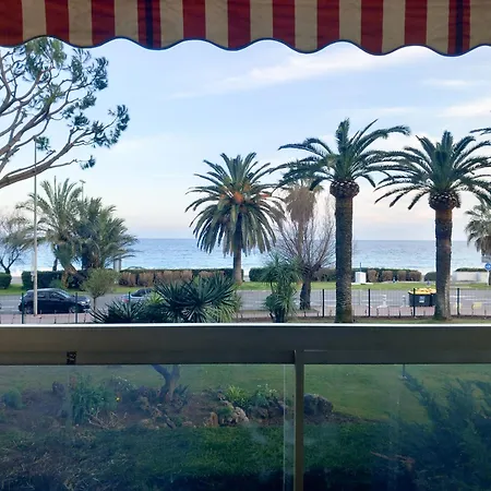 Dionysos * Cannes